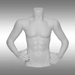 Erkek Kollu Büst Mankeni